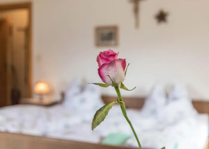 Apartmán Rohnberg *